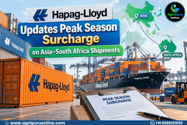 Hapag-Lloyd Updates Peak Season Surcharge on Asia–South Africa Shipments