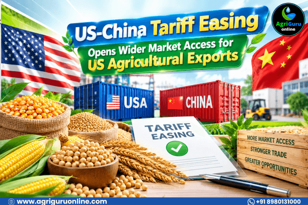 US-China Tariff Easing Opens Wider Market Access for US Agricultural Exports
