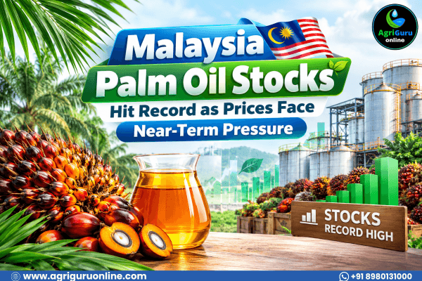 Malaysia Palm Oil Stocks Hit Record as Prices Face Near-Term Pressure