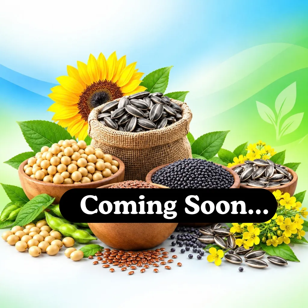 Oil Seeds