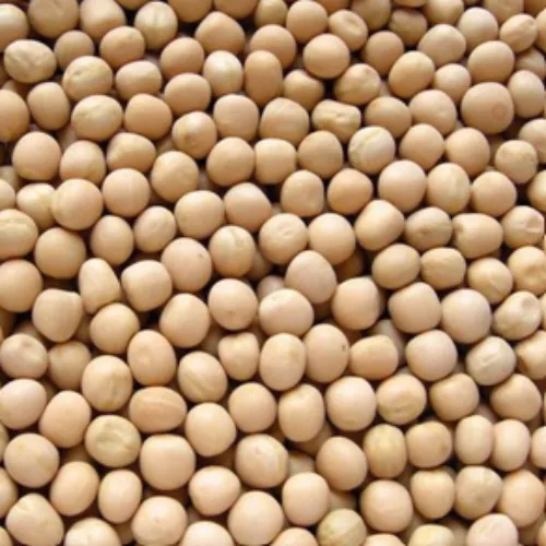 Yellow Pea (Canada)