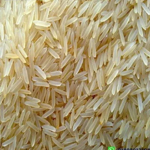 PR11 Golden Rice