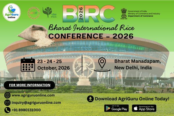 The BIRC Conference 2026