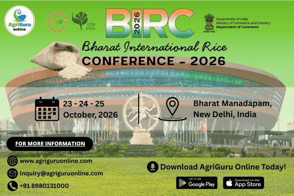 The BIRC Conference 2026