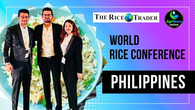 The Rice Trader Conference in Cebu, Philippines 2023