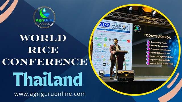 AgriGuru Online Launch Web Platform at TRT Rice Conference, Thailand