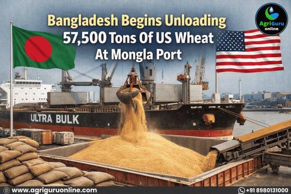 Bangladesh Begins Unloading 57,500 Tons Of US Wheat At Mongla Port