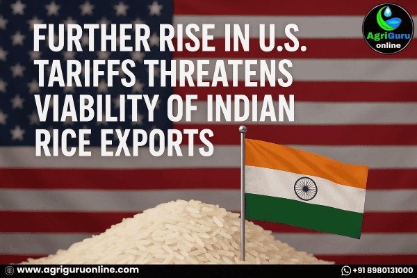 Further Rise in U.S. Tariffs Threatens Viability of Indian Rice Exports