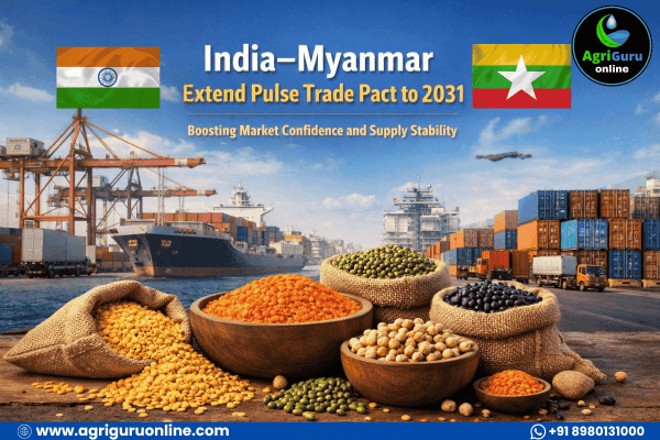 India–Myanmar Extend Pulse Trade Pact to 2031, Boosting Market Confidence and Supply Stability