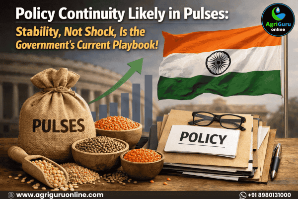 Policy Continuity Likely in Pulses: Stability, Not Shock, Is the Government’s Current Playbook!!