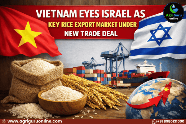 Vietnam Eyes Israel as Key Rice Export Market Under New Trade Deal
