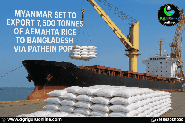 Myanmar set to export 7,500 tonnes of Aemahta rice to Bangladesh via Pathein Port