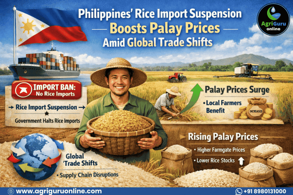 Philippines' Rice Import Suspension Boosts Palay Prices Amid Global Trade Shifts