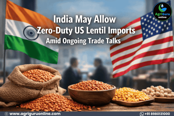 India May Allow Zero-Duty US Lentil Imports Amid Ongoing Trade Talks