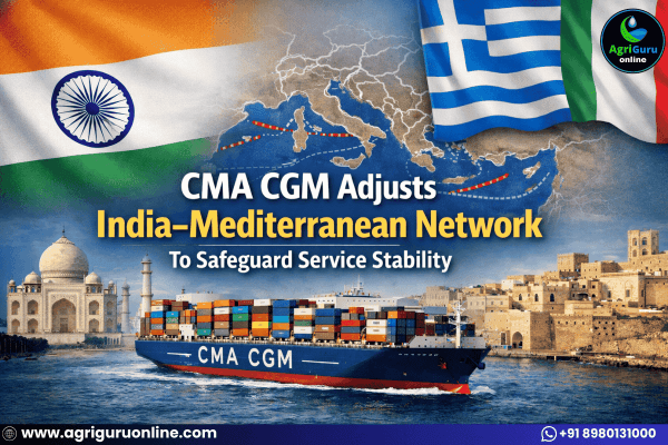 CMA CGM Adjusts India–Mediterranean Network to Safeguard Service Stability