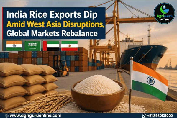 India Rice Exports Dip Amid West Asia Disruptions, Global Markets Rebalance