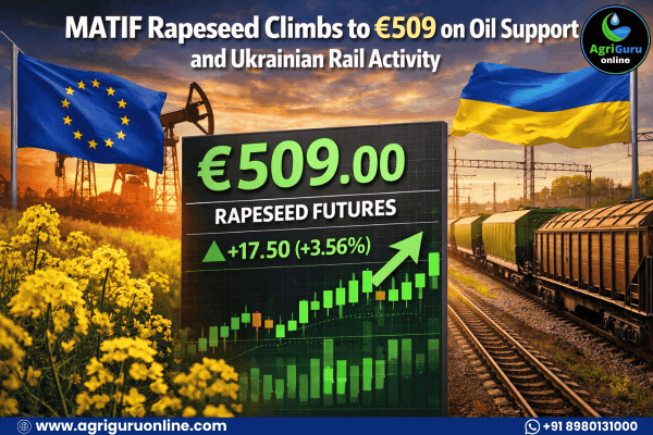 MATIF Rapeseed Climbs to €509 on Oil Support and Ukrainian Rail Activity