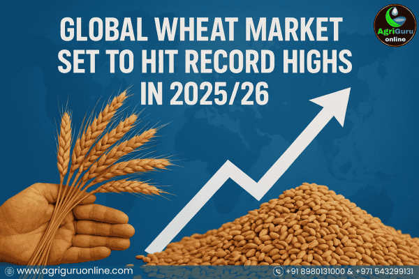 Global Wheat Market Set to Hit Record Highs in 2025/26.