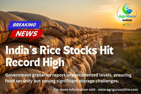 India’s Rice Stocks Hit Record High, Wheat Inventories at Four-Year Peak