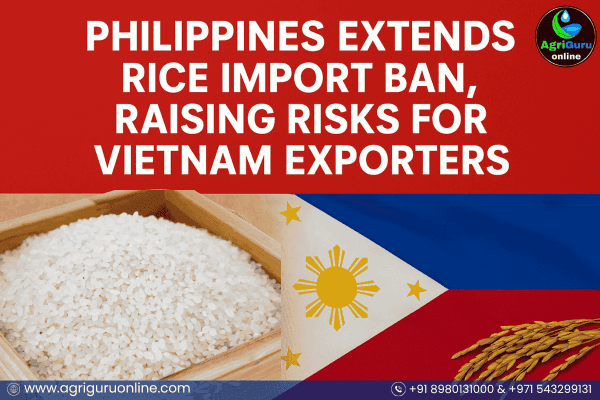 Philippines Extends Rice Import Ban, Raising Risks For Vietnam Exporters
