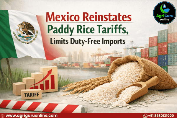 Mexico Reinstates Paddy Rice Tariffs, Limits Duty-Free Imports