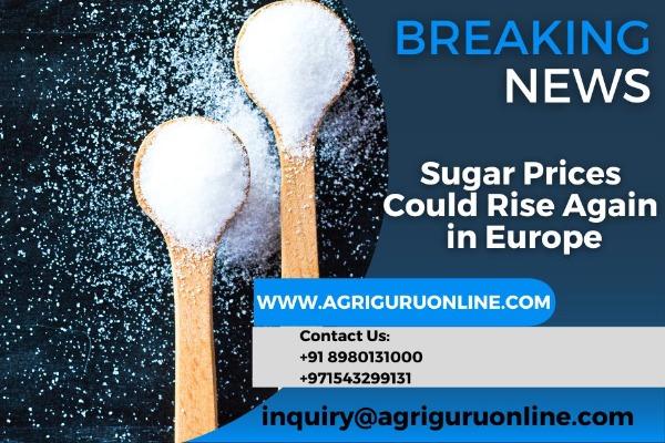 Sugar Prices Could Rise Again in Europe
