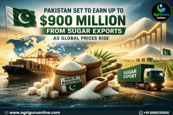 Pakistan Set to Earn Up to $900 Million from Sugar Exports as Global Prices Rise