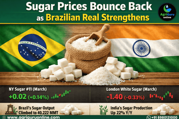 Sugar Prices Bounce Back as Brazilian Real Strengthens