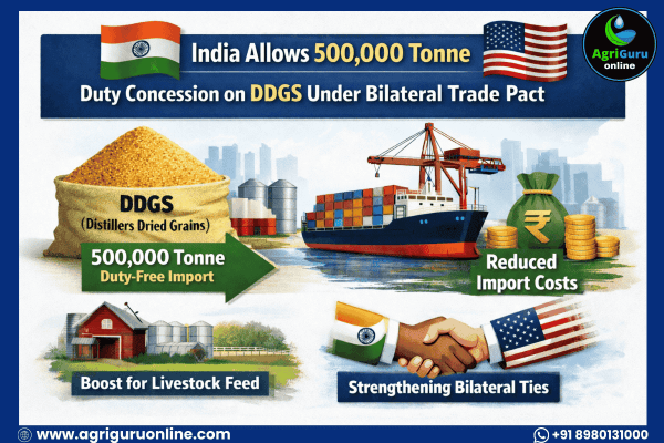 India Allows 500,000 Tonne Duty Concession on DDGS Under Bilateral Trade Pact