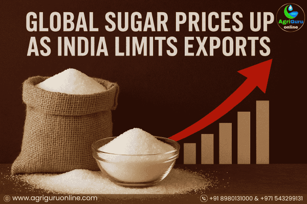 Global Sugar Prices Up as India Limits Exports