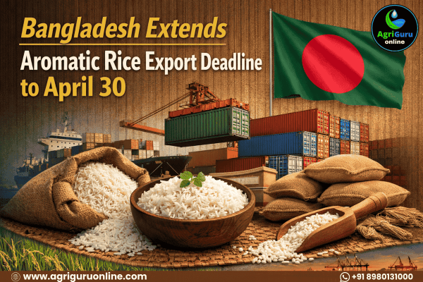 Bangladesh Extends Aromatic Rice Export Deadline to April 30