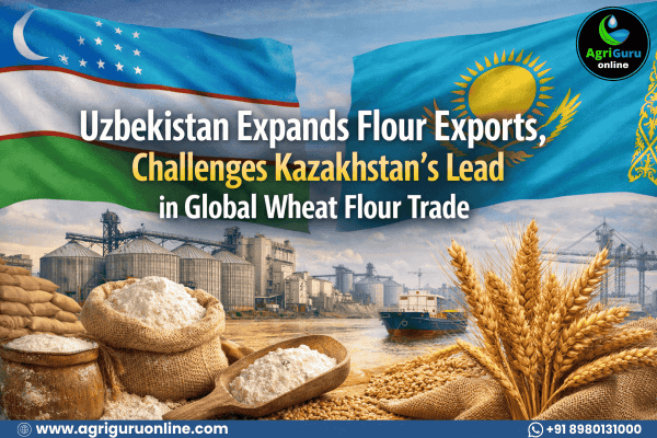 Uzbekistan Expands Flour Exports, Challenges Kazakhstan’s Lead in Global Wheat Flour Trade
