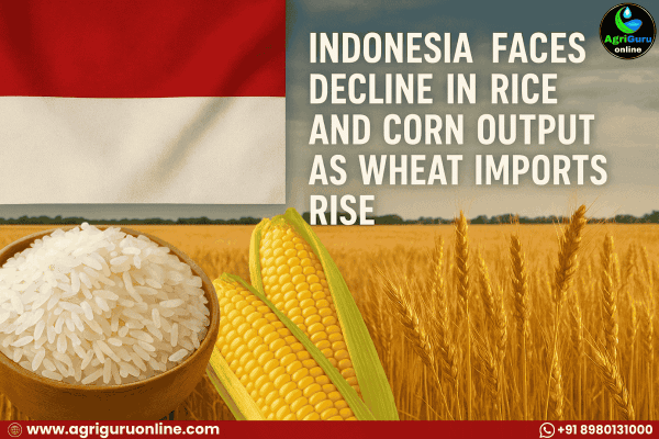 Indonesia Faces Decline in Rice and Corn Output as Wheat Imports Rise