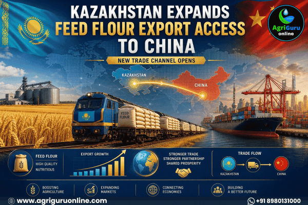 Kazakhstan Expands Feed Flour Export Access to China, Opening New Trade Channel