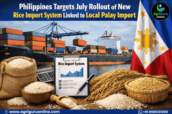 Philippines Targets July Rollout of New Rice Import System Linked to Local Palay Import