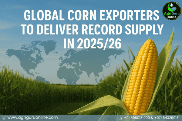 Global Corn Exporters to Deliver Record Supply in 2025/26.
