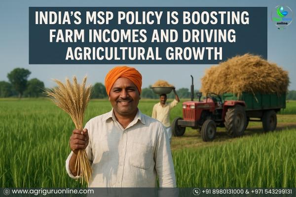 India’s MSP Policy Is Boosting Farm Incomes And Driving Agricultural growth