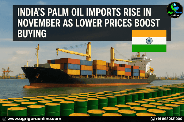 India’s Palm Oil Imports Rise in November as Lower Prices Boost Buying