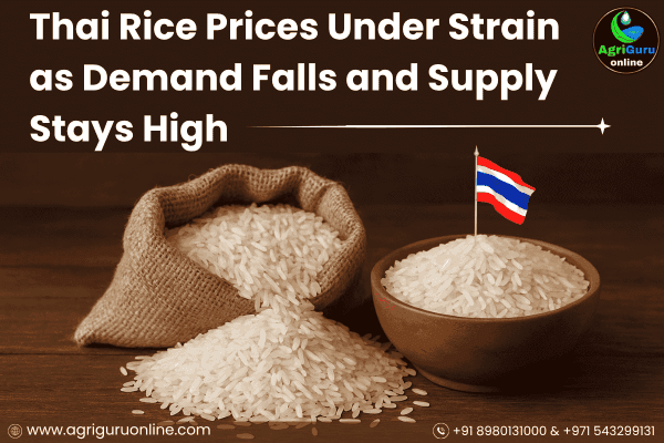 Thai Rice Prices Under Strain as Demand Falls and Supply Stays High