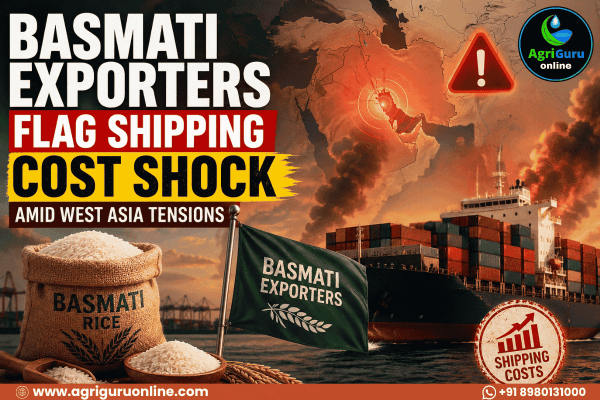 Basmati Exporters Flag Shipping Cost Shock Amid West Asia Tensions