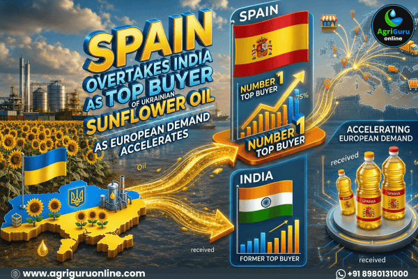 Spain Overtakes India as Top Buyer of Ukrainian Sunflower Oil as European Demand Accelerates.