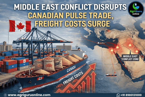 Middle East Conflict Disrupts Canadian Pulse Trade, Freight Costs Surge