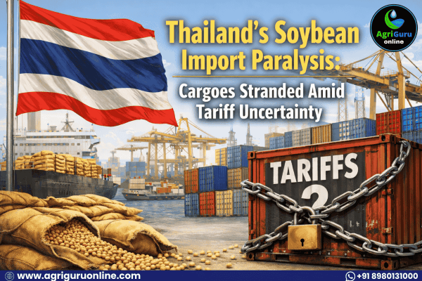 Thailand's Soybean Import Paralysis: Cargoes Stranded Amid Tariff Uncertainty