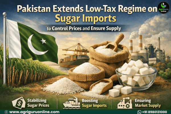 Pakistan Extends Low-Tax Regime on Sugar Imports to Control Prices and Ensure Supply