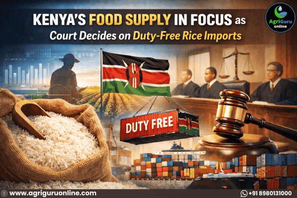 Kenya’s Food Supply in Focus as Court Decides on Duty-Free Rice Imports