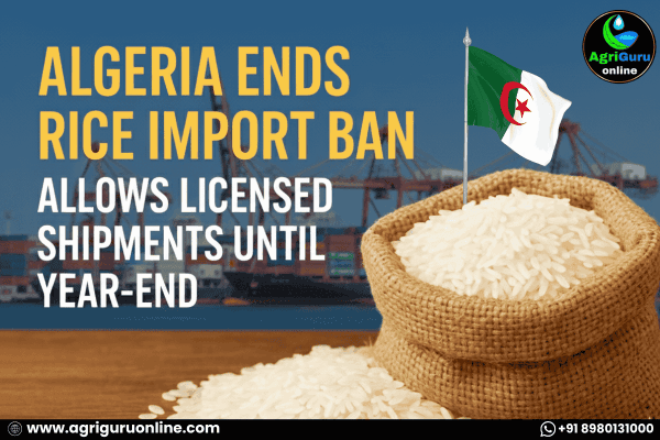 Algeria Ends Rice Import Ban, Allows Licensed Shipments Until Year-End