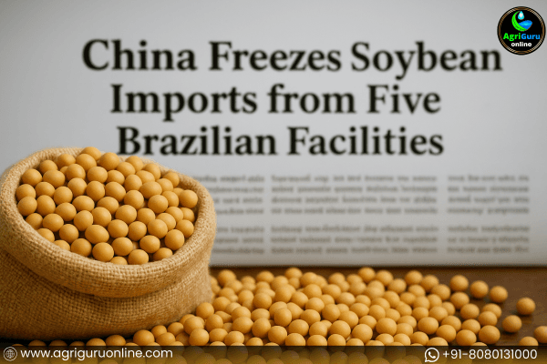 China Freezes Soybean Imports from Five Brazilian Facilities
