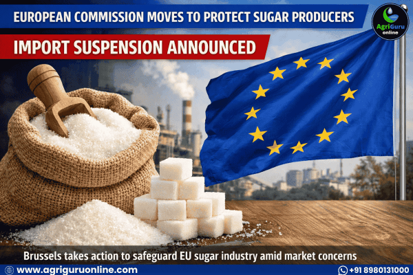 European Commission Moves to Protect Sugar Producers with Import Suspension