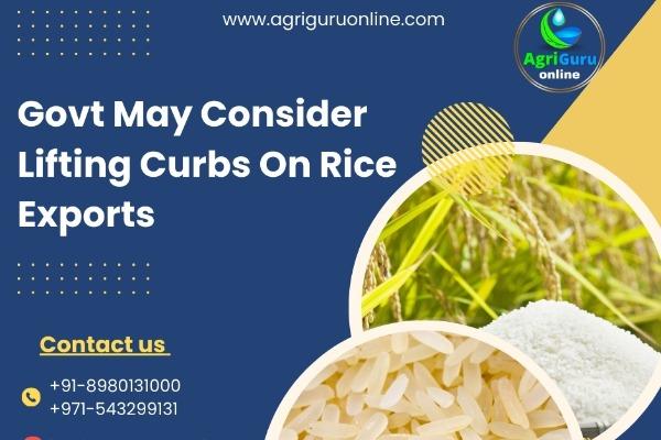 Govt May Consider Lifting Curbs On Rice Exports