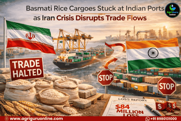 Basmati Rice Cargoes Stuck at Indian Ports as Iran Crisis Disrupts Trade Flows